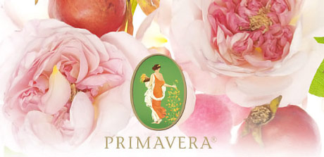 Kr&auml;uter und &Ouml;l - Primavera Aromatherapie