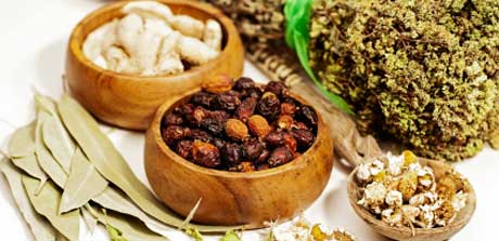 Ayurveda Ern&auml;hrung Kr&auml;uter