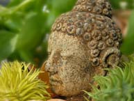 Meditation Buddhakopf